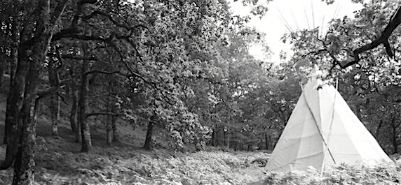 C3658D77-B2FA-4925-AD70-1C3F0D2D9540