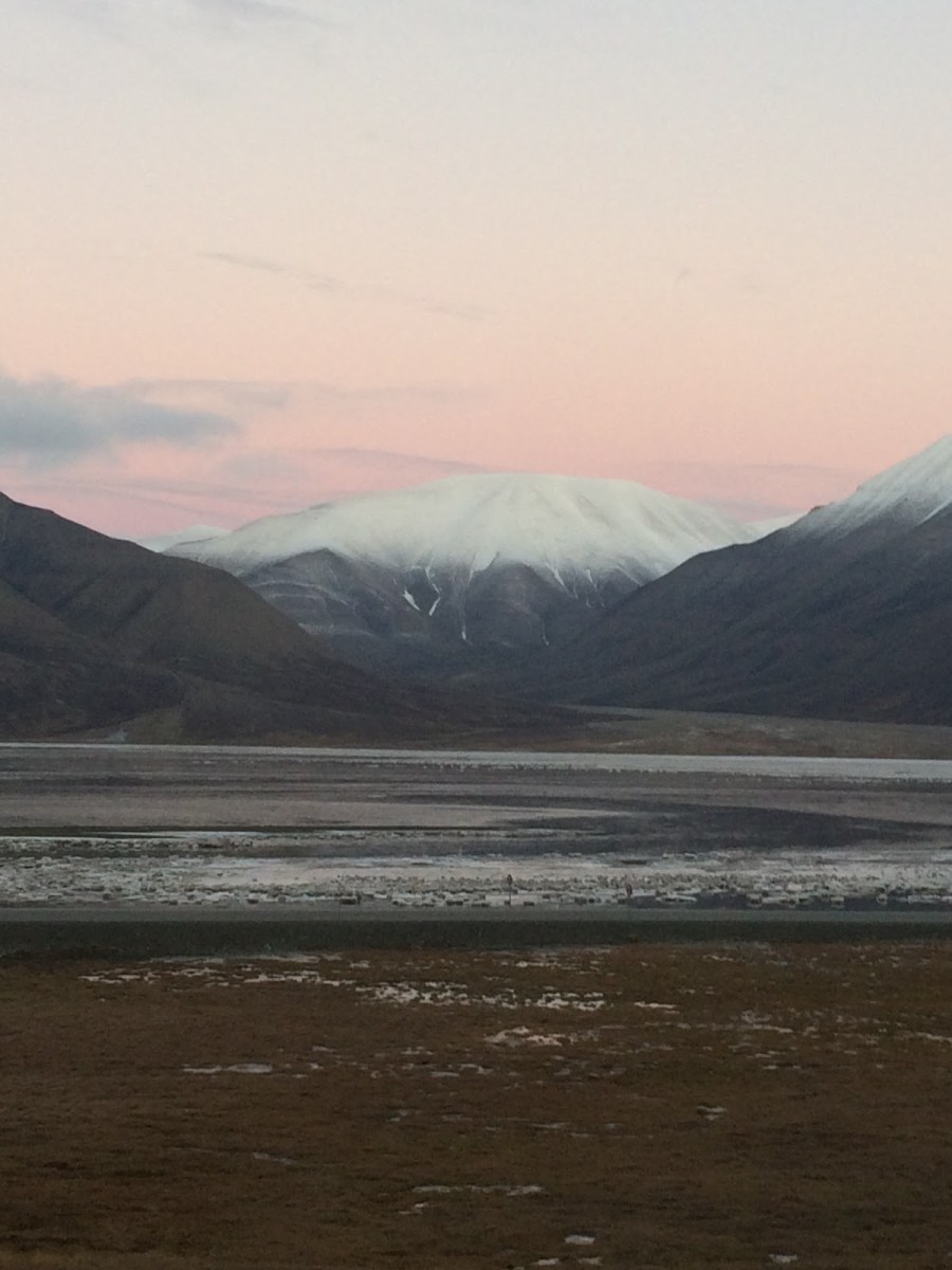 F3C64CC6-36F1-4910-86B7-E8A6C846C500