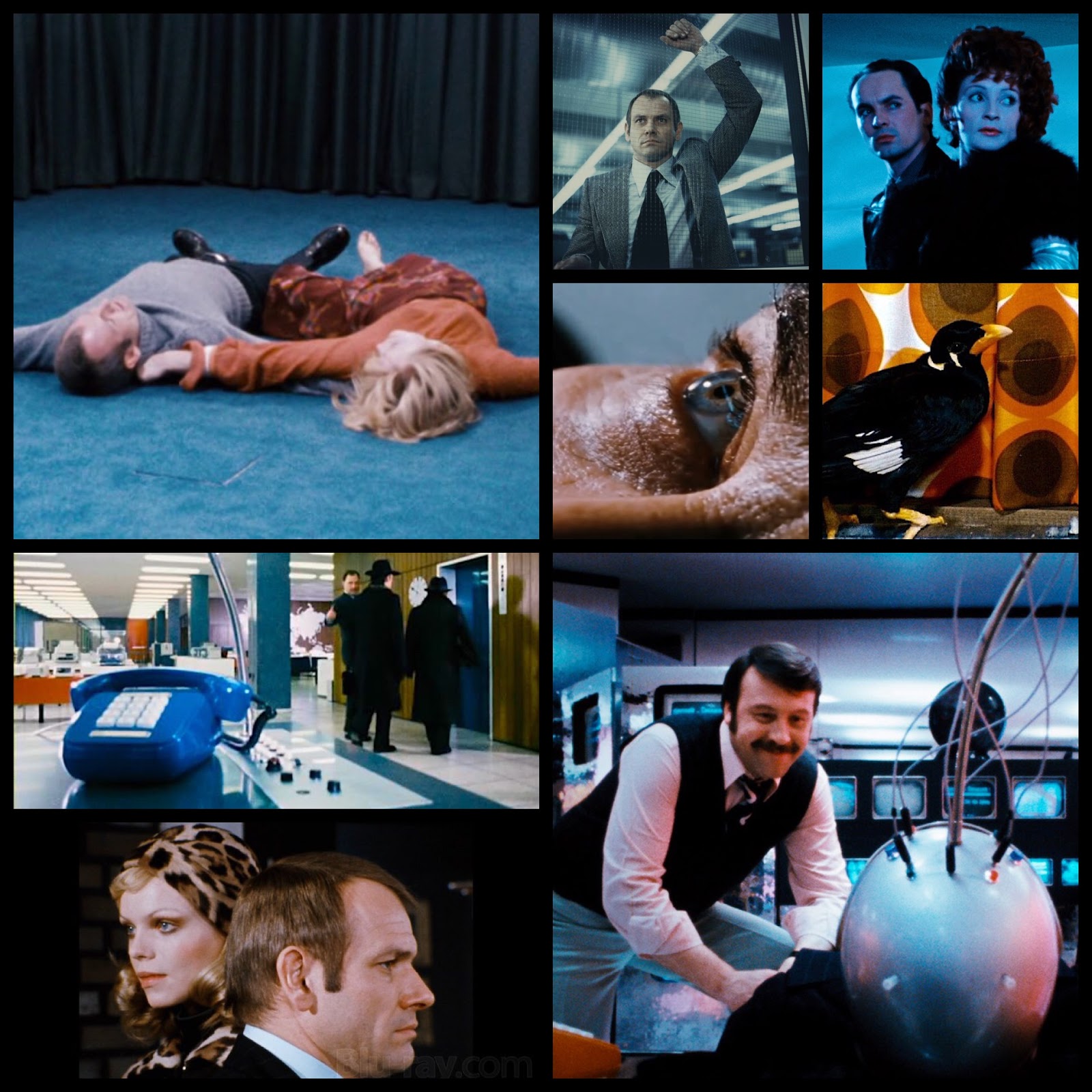 EAA2B20D-5575-483A-9FAD-0BDFCA4FB396